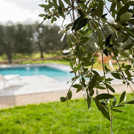 Bed and Breakfast Dimora La Scaledda Serranova Экстерьер фото